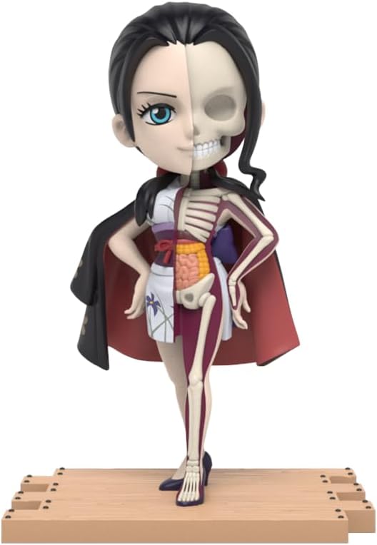 Freeny’s Hidden Dissectibles One Piece Ladies Series Robin