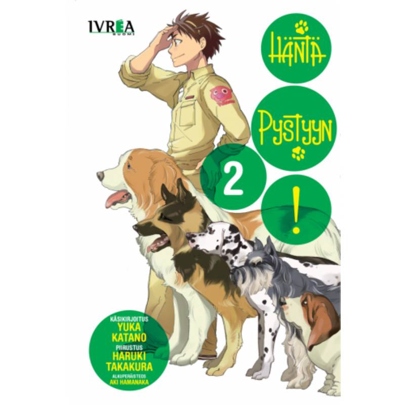 HANTA PYSTYYN 02