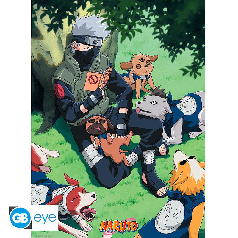 NARUTO Kakashi & Ninja Dogs Poster, 52 x 38 cm