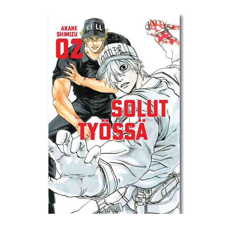 Solut Työssä 2