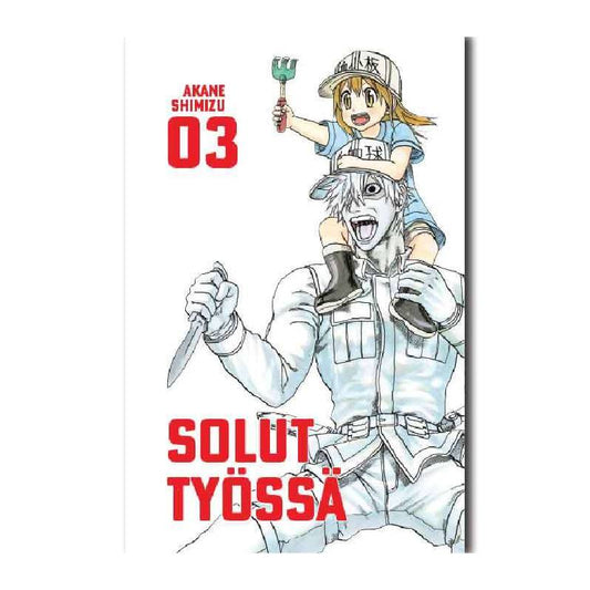 Solut Työssä 3