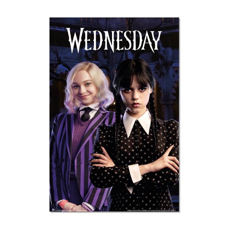 WEDNESDAY Poster, Wednesday and Enid